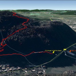 10621367_10152568061199854_1776603945_o