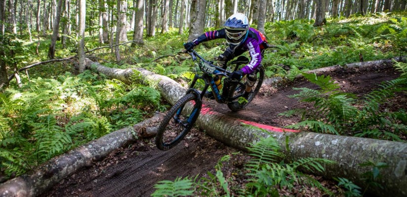 Photoforyou.si -TADE7245